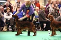 Crufts2011 877